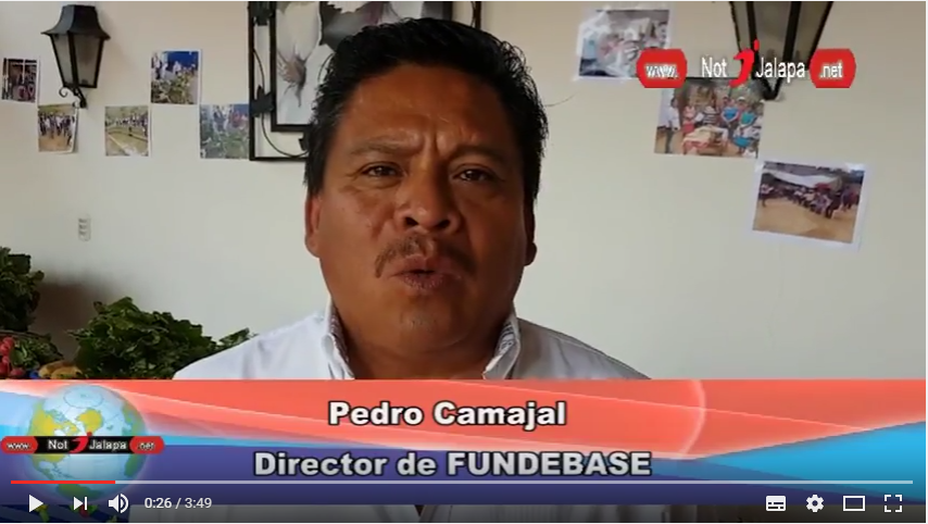 Guatemala - Pedro Camajal