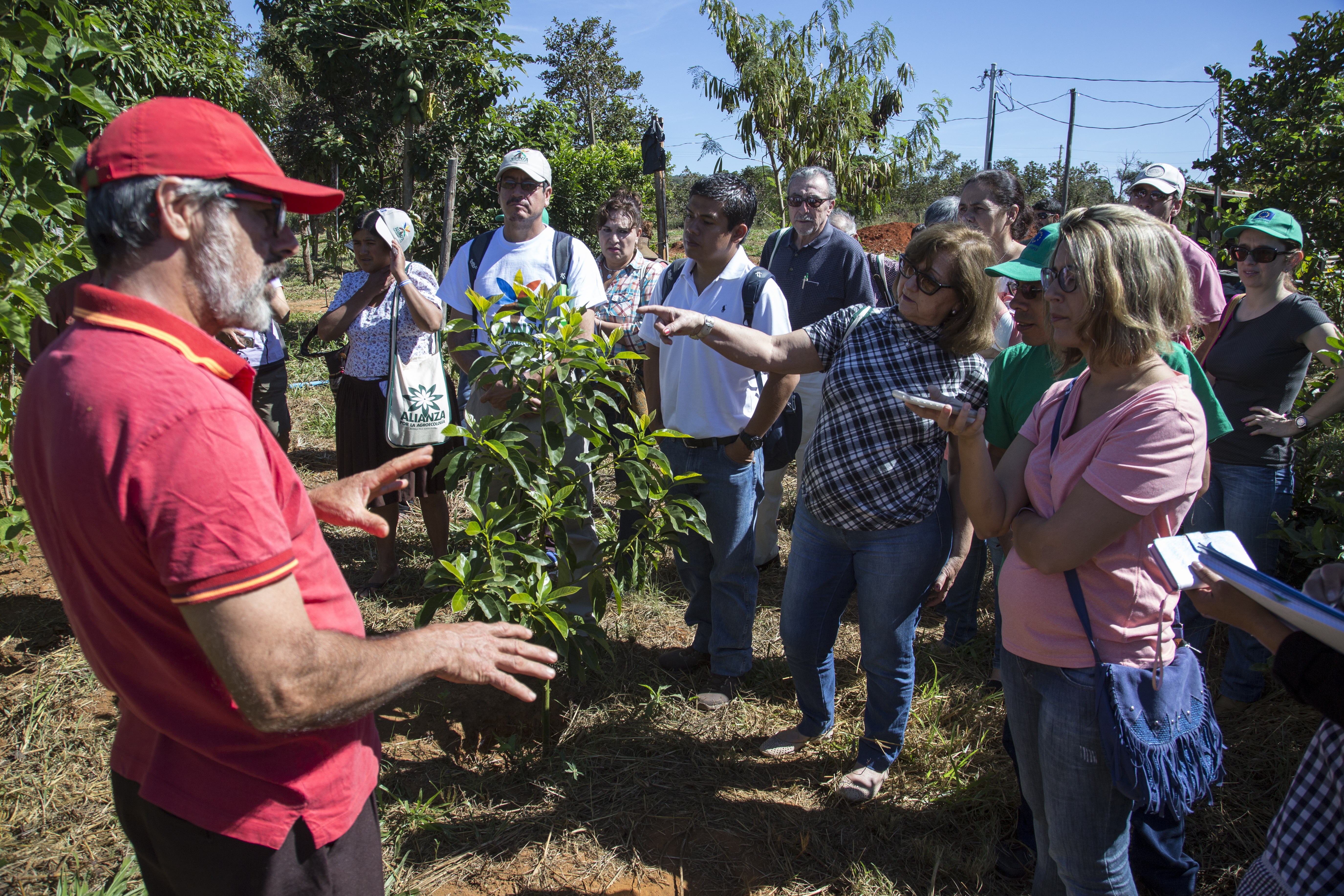 Seminario Internacional Alianza por la Agroecologia. Brasilia Maio de 2017. Visita ao Assentamento Pequeno Wiloian em Planaltina/DF. Foto de Ubirajara Machado
